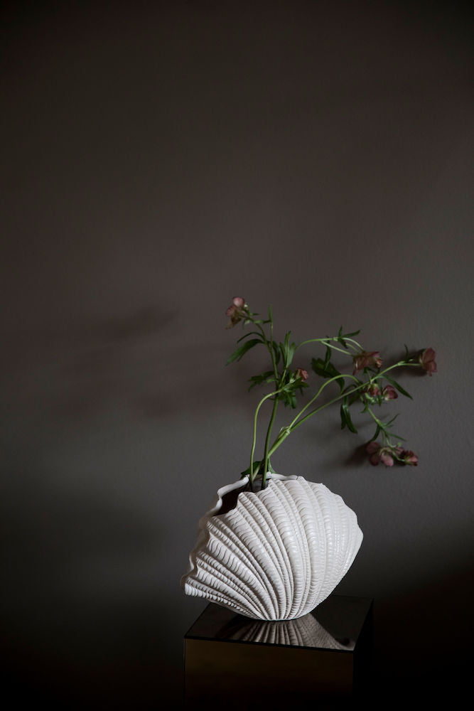 Shell Vase