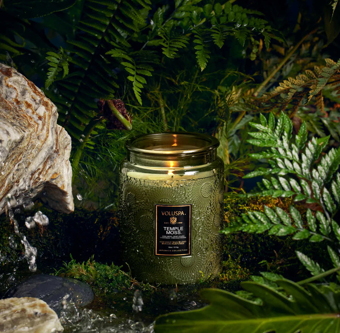 Large Jar Candle, 100h, temple moss
