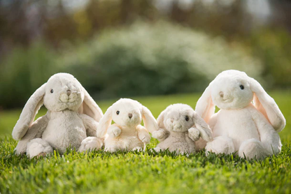 Kanini, 15 cm., white