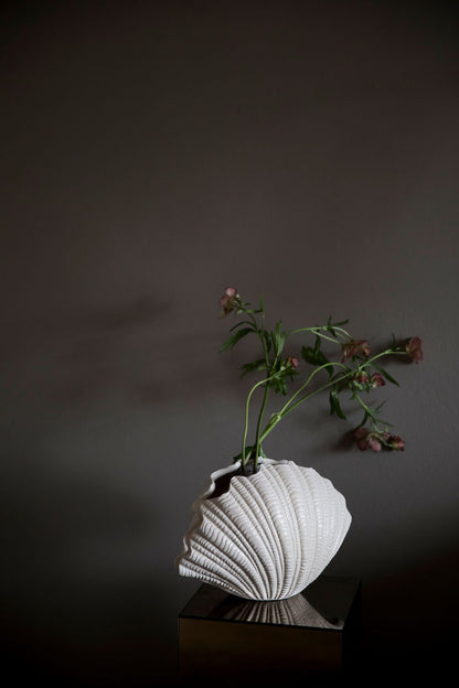 Shell Vase