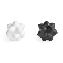 Load image into Gallery viewer, Aphrodite Salt &amp; Pepper Shakers